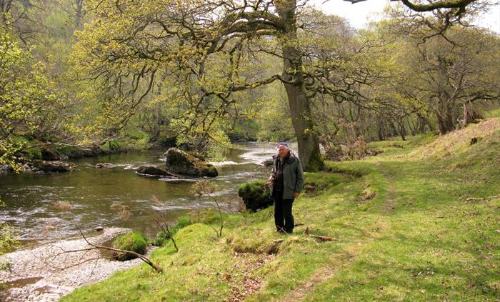 The River Wye farm at the edge of the farm at Nannerth Country Holidays